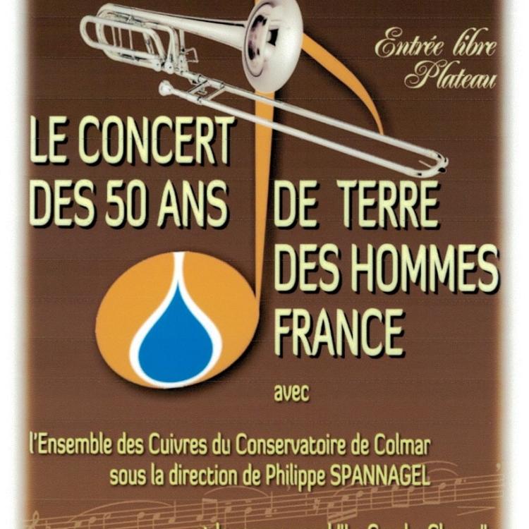 2014-04-06 Affiche Ens de Cuivres St Antoine