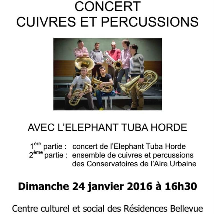 2016-01-24 Elephant Tuba Horde